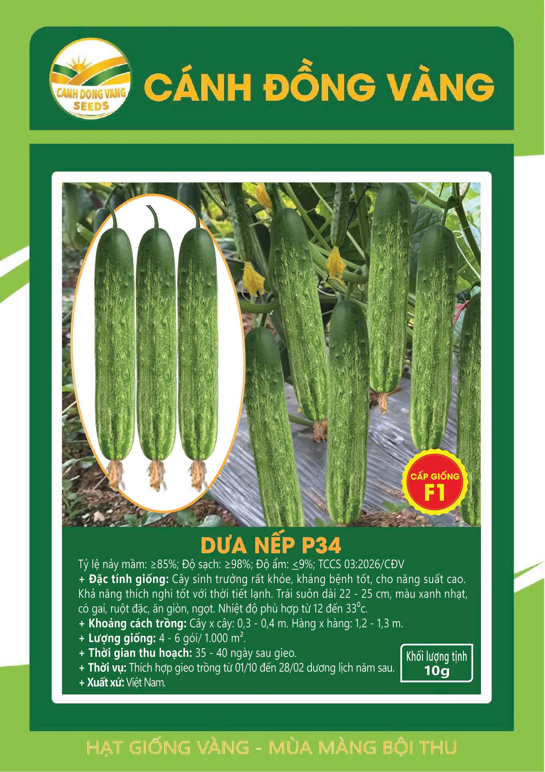 DƯA NẾP P34
